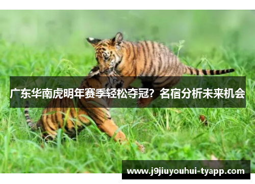 广东华南虎明年赛季轻松夺冠？名宿分析未来机会