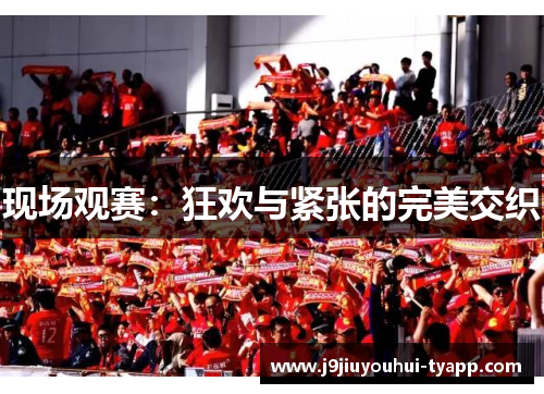 现场观赛：狂欢与紧张的完美交织