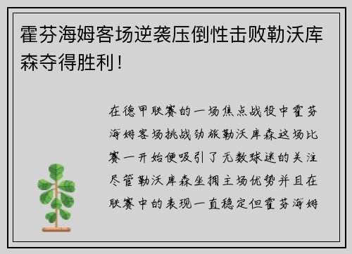 霍芬海姆客场逆袭压倒性击败勒沃库森夺得胜利！